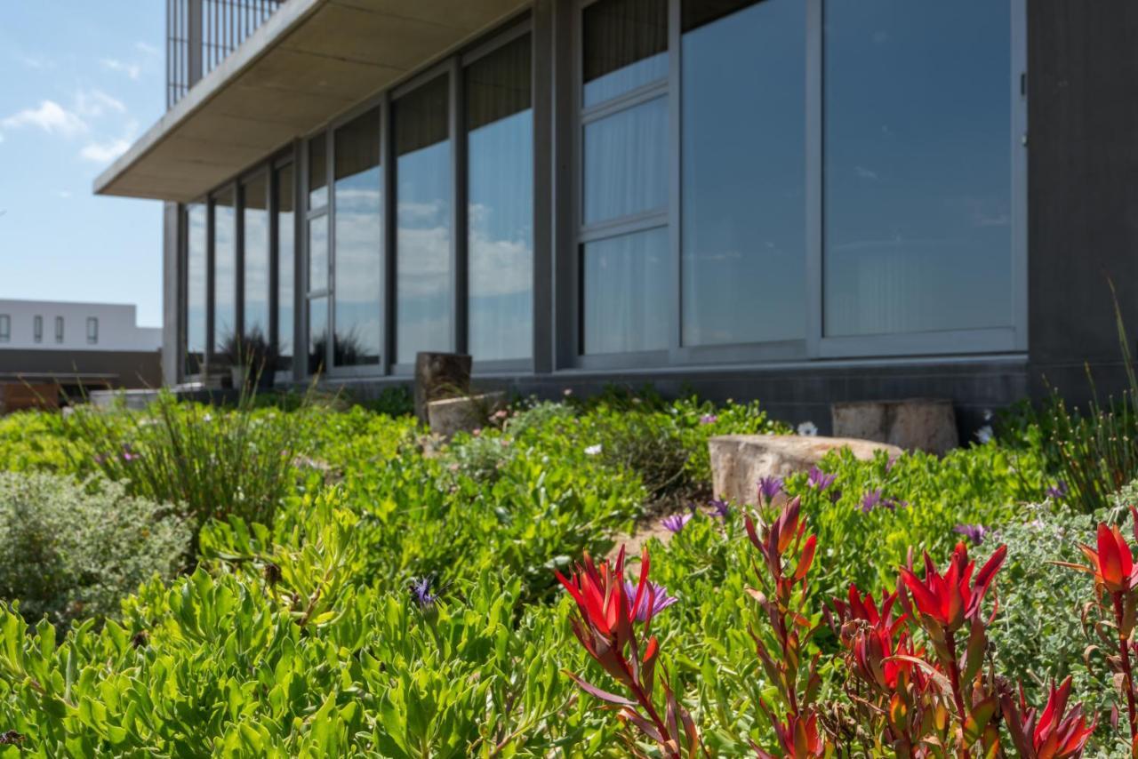The Olive Tree Villa Изерфонтейн Экстерьер фото
